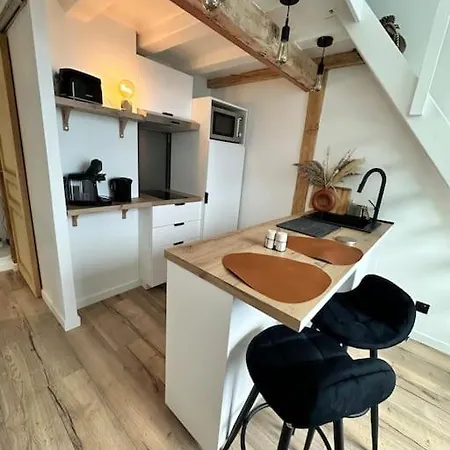 Duplex Lumineux Appartement Nantes