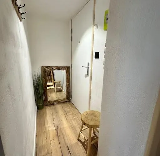 Duplex Lumineux Appartement *