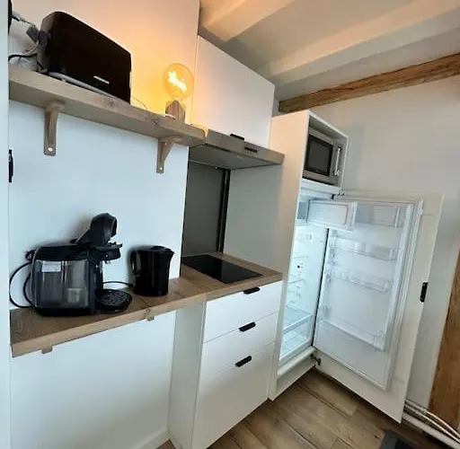 Duplex Lumineux Appartement Nantes