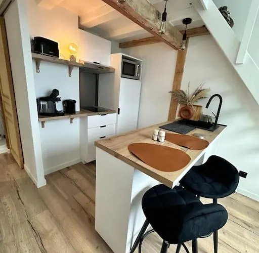 Duplex Lumineux Appartement Nantes